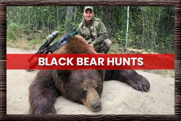 Black Bear Hunts