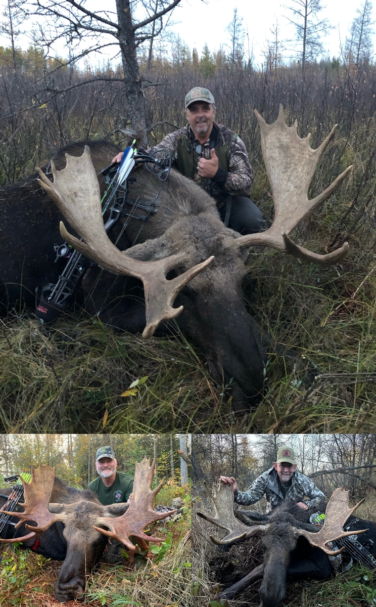 8 Day Alberta Moose Rut Bowhunt