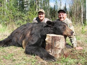BlackBear_1.JPG