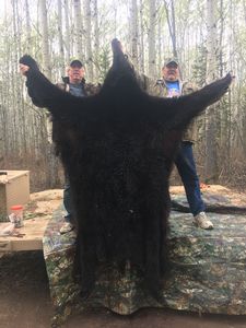 BlackBear_104.JPG