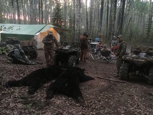 BlackBear_106.JPG