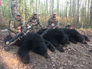 BlackBear_108.JPG