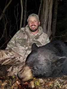 BlackBear_110.JPG