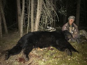 BlackBear_112.jpg