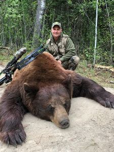 BlackBear_114.JPG