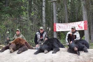 BlackBear_115.JPG
