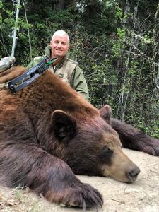 BlackBear_116.JPG