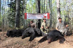 BlackBear_118.JPG