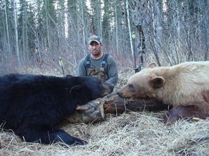 BlackBear_13.JPG