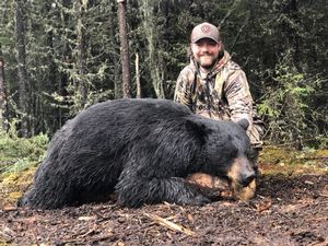 BlackBear_140.JPG
