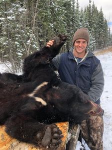BlackBear_141.JPG