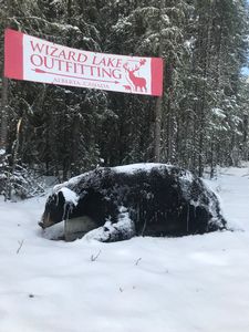 BlackBear_143.JPG