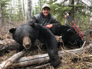 BlackBear_145.JPG