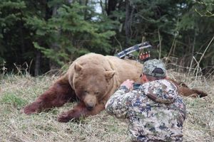 BlackBear_147.JPG