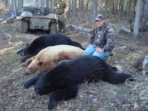 BlackBear_15.JPG