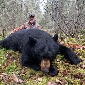 BlackBear_150.JPG