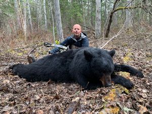 BlackBear_152.JPG
