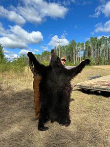 BlackBear_171.JPG