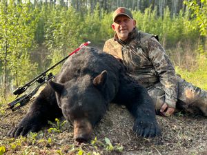 BlackBear_175.jpg