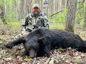 BlackBear_179.jpg