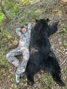 BlackBear_181.JPG
