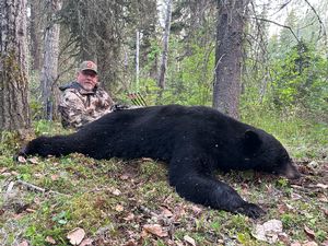 BlackBear_182.JPG