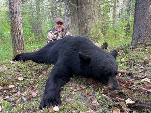 BlackBear_183.JPG