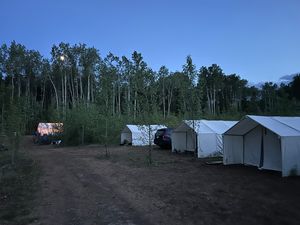BlackBear_185.JPG