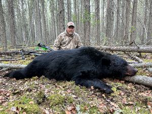 BlackBear_187.JPG