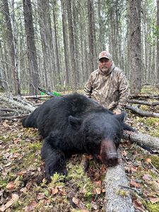 BlackBear_188.JPG