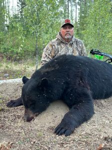 BlackBear_189.jpg