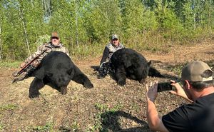 BlackBear_195.jpg