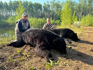 BlackBear_196.JPG