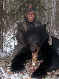 BlackBear_4.JPG