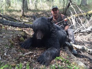 BlackBear_61.JPG