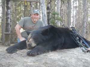 BlackBear_62.JPG