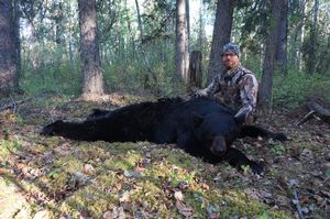 BlackBear_68.JPG