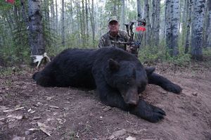 BlackBear_70.JPG