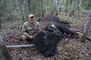 BlackBear_72.JPG