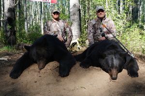 BlackBear_75.JPG