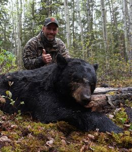 BlackBear_76.jpg