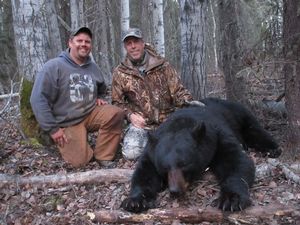 BlackBear_77.JPG