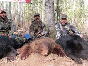 BlackBear_83.JPG