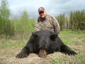 BlackBear_9.JPG