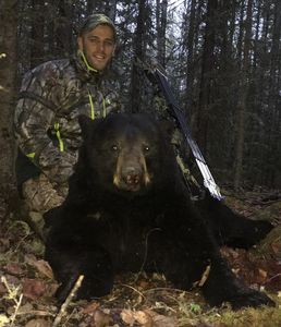 BlackBear_92.JPG