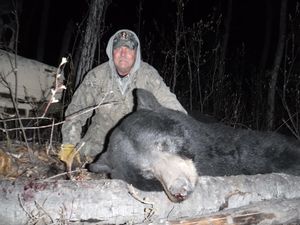 BlackBear_94.JPG