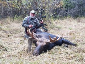 Moose1.JPG