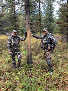 Moose13.jpeg