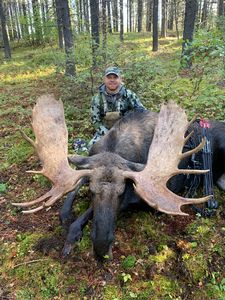 Moose14.jpeg