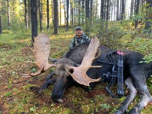 Moose15.jpeg